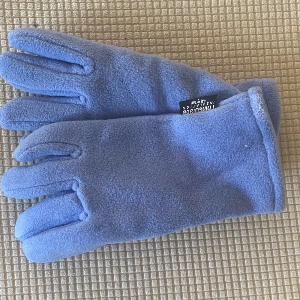 3M Thinsulate Periwinkle Fleece Gloves